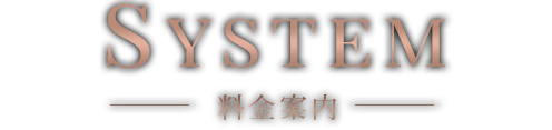 システム